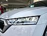 SKODA Octavia *Combi*2.0 TDI*First Edition*DSG*LEDER*LM