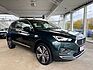 SEAT Tarraco *Xcellence*2.0 TDI*4Drive*7-Sitze*PANO*LM