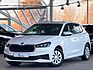 SKODA Fabia *1.0*Active*LED*SHZ*59kW*WHITE*WINTER*DAB+*