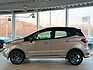 Ford EcoSport *1.0*EcoBoost*ST-Line*CAM*XENON*WINTER*