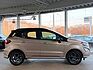 Ford EcoSport *1.0*EcoBoost*ST-Line*CAM*XENON*WINTER*