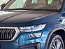 SKODA Kodiaq 2.0 TDI DSG*L&K*AHK*LEDER*CAM*STANDHZG*